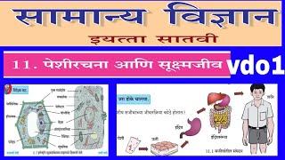 इयत्ता सातवीसामान्य विज्ञानपेशीरचना आणि सूक्ष्मजीवvd1iyatta7Science peshirachna ani sukshmjeev [upl. by Wehrle]