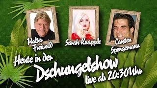 Die große BILDDschungelshow im LiveStream  15012016  Knappik Freiwald Spengemann [upl. by Giesecke]