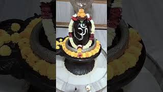 02112024 Happy New year 🎊 shiv shakti Jay Mahadev youtube shots [upl. by Egan]