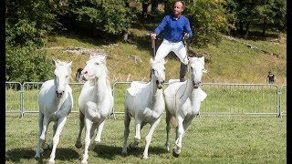 Salon de la chasse de Châteauvillain édition 2018 [upl. by Ralli]