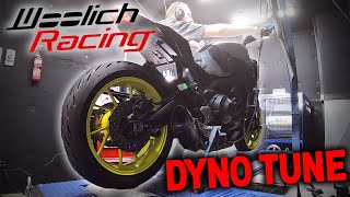 Yamaha MT09 Woolich Dyno Tune  Before amp After REACTION [upl. by Ursi401]