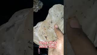 আমের পাঁপড় মোচার পাঁপড়highlightscookingshorts plz subscribe my channel 🙏 supporting me guys ❤️ [upl. by Sabelle391]