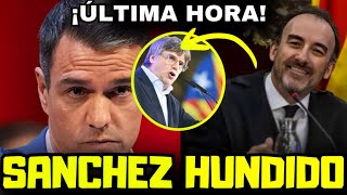 🔴¡URGENTE🔴 La AUDIENCIA NACIONAL arremete contra SÁNCHEZ y su POLÉMICA LEY de AMNISTÍA a PUIGDEMONT [upl. by Atsiuqal]