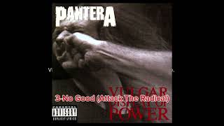 Pantera  Vulgar Display Of Power Songs Ranking [upl. by Notyap890]