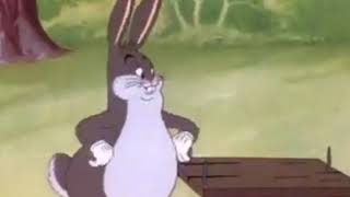 BIG CHUNGUS [upl. by Yenitsed]