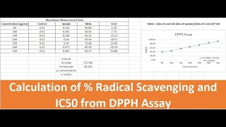 Radical Scavenging Activity Measurement and IC50 Calculation DPPH Assay in Excel [upl. by Waldon950]