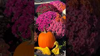 Mackinac Island in the Fall [upl. by Etselec]