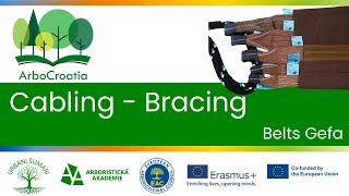 Elearning  Cabling  Bracing  2  Belts Gefa [upl. by Hplodnar]