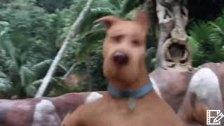 Scooby Doo 2002 Scooby and Shaggy on bikes and Mary Jane is a demon  720p Trim [upl. by Yemirej]