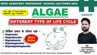 LIFE CYCLE IN ALGAE  शैवाल में विभिन्न प्रकार के जीवन चक्र  DIPLONTIC HAPLONTIC LIFE CYCLE [upl. by Nnyl]