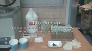 How to do Fecal Centrifugation [upl. by Yttik591]