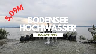 509m Bodensee Hochwasser Immenstaad am Bodensee 11 Juni 2024 [upl. by Anpas]