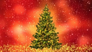 Twinkle Lights Christmas Tree 9 Colored Backgrounds Free Download Merry Christmas [upl. by Obediah]