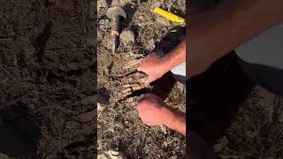 define metaldetecting definebulmaani defineişaretleri metaldetector treasurefind definemall [upl. by Nosnek]