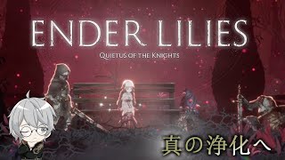 【ENDER LILIES Quietus of the Knights】石版、護りの宝具を求めて 5【夕凪メロンVtuber】 [upl. by Namus]