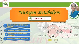 Nitrogen fixation  Biochemistry of Nitrogen fixation [upl. by Gemini86]