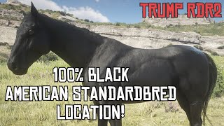 RDR2  Black American Standardbred Location [upl. by Dranrev]