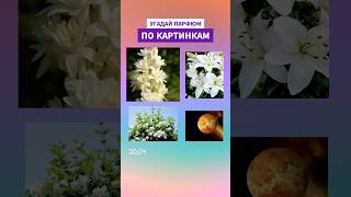 ВСЕ УГАДАЛИ ЭТОТ ПАРФЮМ ПО КАРТИНКАМ ДЕЛИТЕСЬ В КОММЕНТАРИЯХ 🫶🏻 [upl. by Reis]