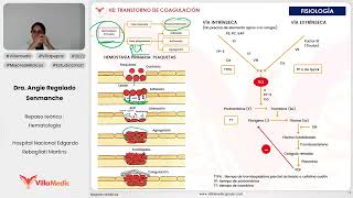 TRASTORNOS DE LA COAGULACIÓN  HEMATOLOGÍA  VILLAMEDIC [upl. by Aiuoqes]