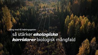 Häng med till ledningsgatan Så stärker ekologiska korridorer biologisk mångfald [upl. by Boorer]