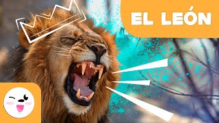 EL LEÓN 🦁 Animales para niños 🌳 Episodio 1 [upl. by Esadnac]