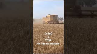 CS660 e TC59 na lida do triticale 2024 newholland [upl. by Cartie166]