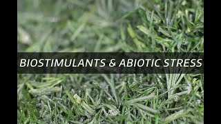 Biostimulants amp Abiotic stress [upl. by Jorin]