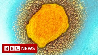 How to spot symptoms of monkeypox  BBC News [upl. by Stone]