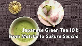 Japanese Green Tea 101 From Matcha to Sakura Sencha [upl. by Delphine686]