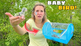 BABY BIRDS RESCUED FROM ONLINE WHERE’D THEY COME FROM [upl. by Walsh602]