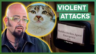 Jackson Galaxy Meets A Couple With A First Aid Kit For Aggressive Cat  My Cat From Hell [upl. by Donnell435]