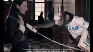 TV Spot 1240 Pagine Bianche quotSpringquot by italian TVC Director Francesco Nencini [upl. by Ythomit]