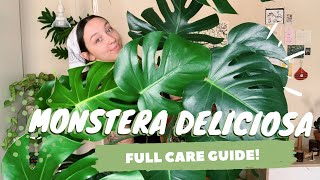 MONSTERA DELICIOSA CARE  PROPAGATION  indoor swiss cheese plant care [upl. by Carleen90]