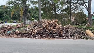 Florida residents warned about venomous snakes hiding in storm debris [upl. by Dronski]