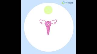 IVF Process Stepbystep animation [upl. by Hnad611]