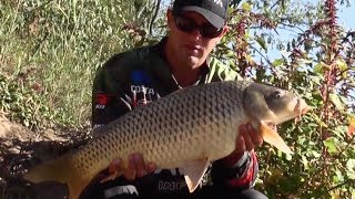 Carp Fishing at the Vaal using a Bait Boat Camo360  ASFN Carp Fishing [upl. by Nlyak45]