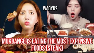 mukbangers eating the most EXPENSIVE foods steak [upl. by Aenad348]