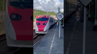 紅鴨鴨「得得得～」像馬蹄奔跑似的通過（273次花蓮彰化） taiwanrailway train [upl. by Bergmans]