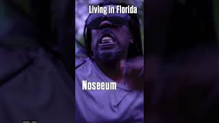 This is what it’s like living in Florida with Noseeums onlyinflorida florida omgitswicks [upl. by Dosia774]