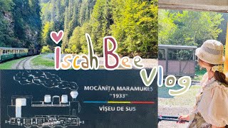 27 Her Calmness Vlog 🚂🛤️🏔️ Mocănița Maramureș ✨ Iscah Bee 🐝 [upl. by Yssac]