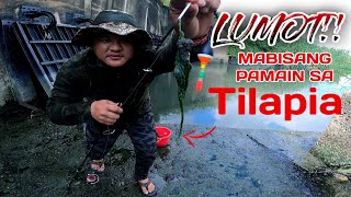 EP58  Lumot Mabisang pamain sa Tilapia Tilapia nasa gilid gilid lang napakarami [upl. by Aylad567]