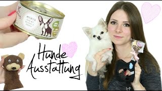 HUNDE AUSSTATTUNG UPDATE 🐶  Tolle amp günstige Produkte  100 Überzeugt [upl. by Novyart768]