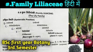 Family Liliaceae in hindi  BSc 2nd year Botany third Semester [upl. by Bushey]