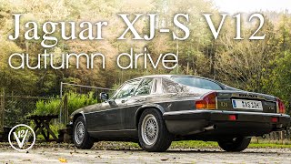 Jaguar XJS V12 manual hill climb autumn drive Amazing sound [upl. by Anivid]