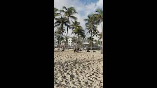 Yenser Del Nogal  Beach Volleyball Live Stream [upl. by Yrtnej586]