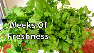 How To Keep Coriander Leaves Cilantro FRESH FOR WEEKS [upl. by Torrin190]