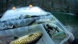 Hucho hucho spin fishing Huchen angeln  Kolpa Slovenia  212020 88 [upl. by Thaxter]