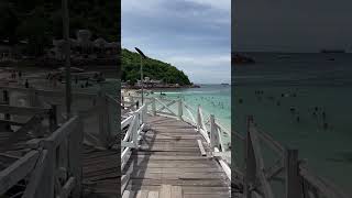 Coral island thailand thailandtravel shortsfeed travel thailand [upl. by Ainessej]