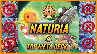 Naturia vs SnakeEyes Branded Gold Pride and so on  OTK  Master duel Season 28  Meta Deck [upl. by Hnah]