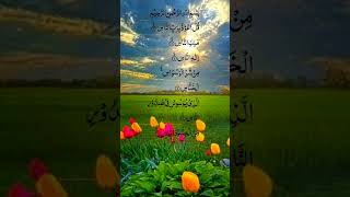 Suarh Al nass🤲🤲🤲💖beautfulquran trendingshorts love 🥀⚘️🔥 [upl. by Anilas]